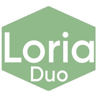 Loria DUO icon